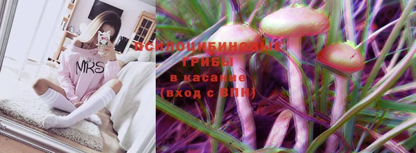 ПСИЛОЦИБИНОВЫЕ ГРИБЫ Балахна
