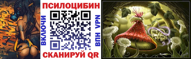 купить закладку Лесозаводск OMG ССЫЛКА Псилоцибиновые грибы Magic Shrooms