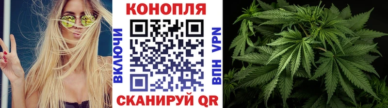 как найти   Лесозаводск  МАРИХУАНА гибрид 